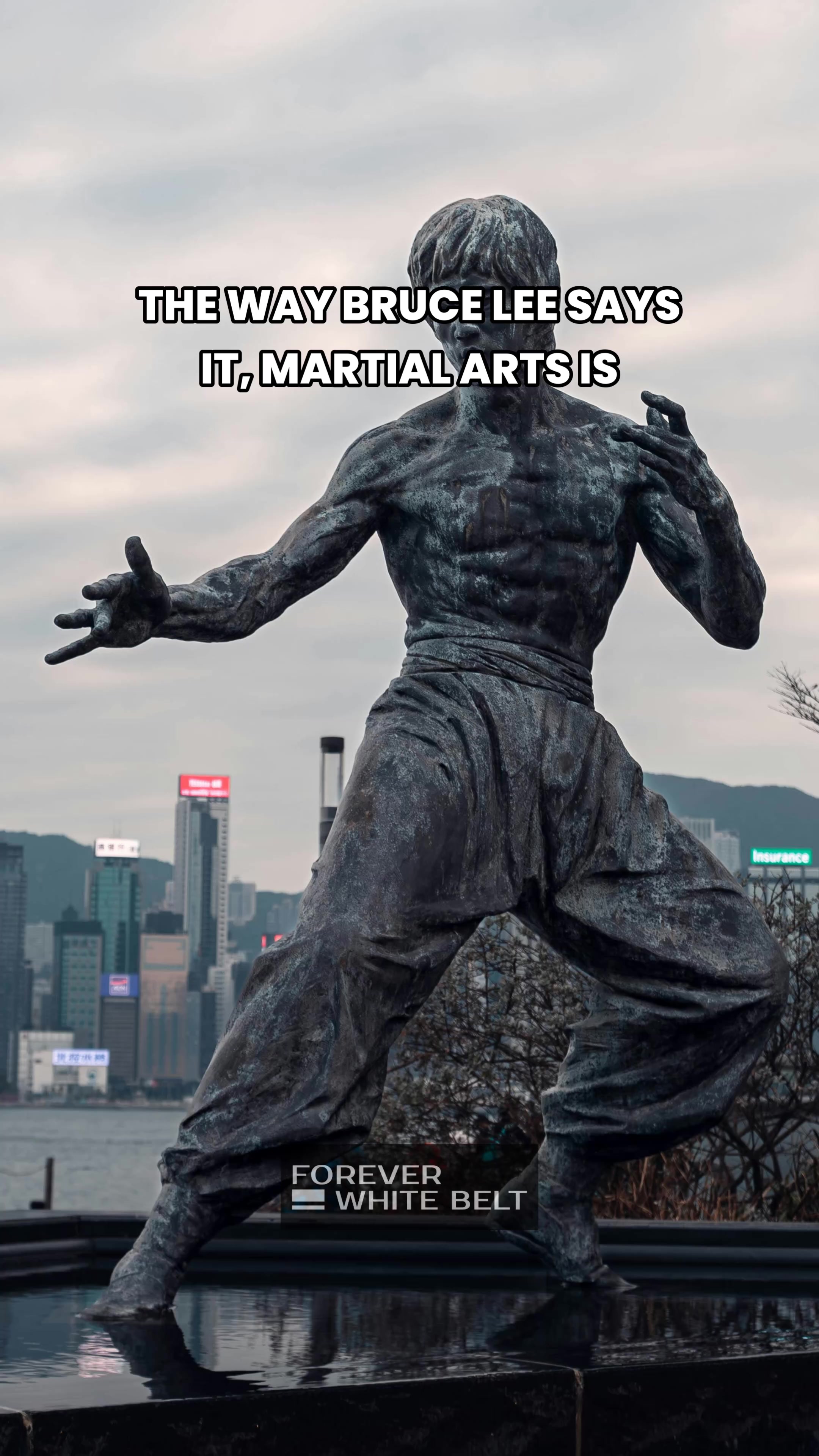 @Forever White Belt