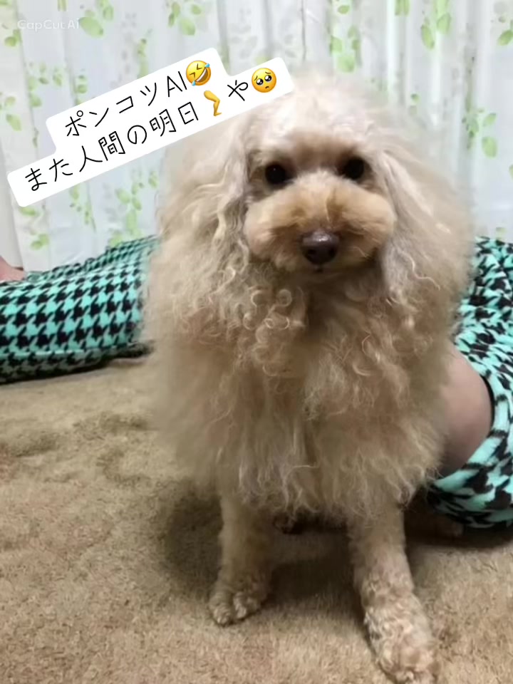 @๐๐ฅmaimai06.27๐ฅ๐