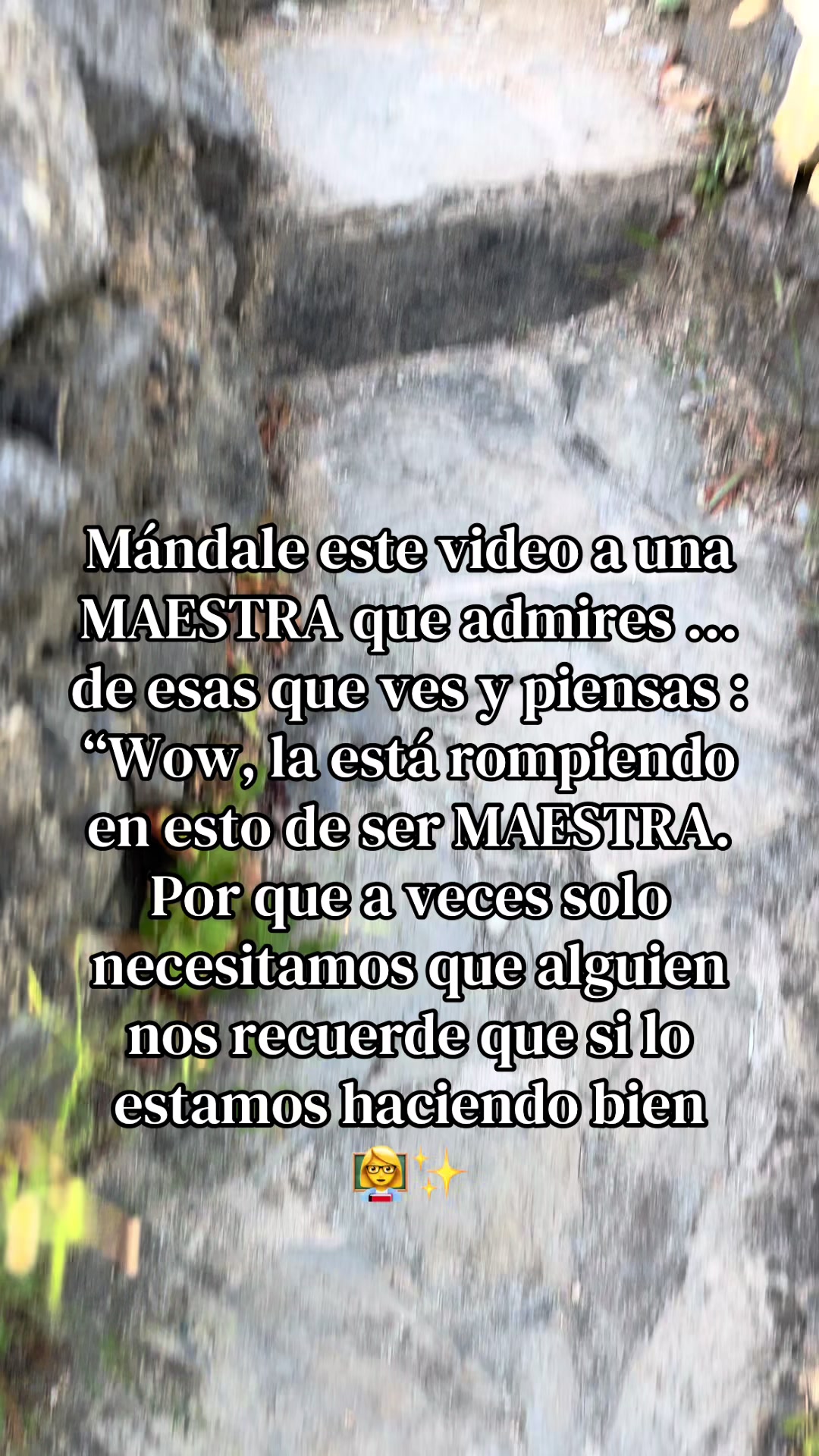 @La maestra Chiri