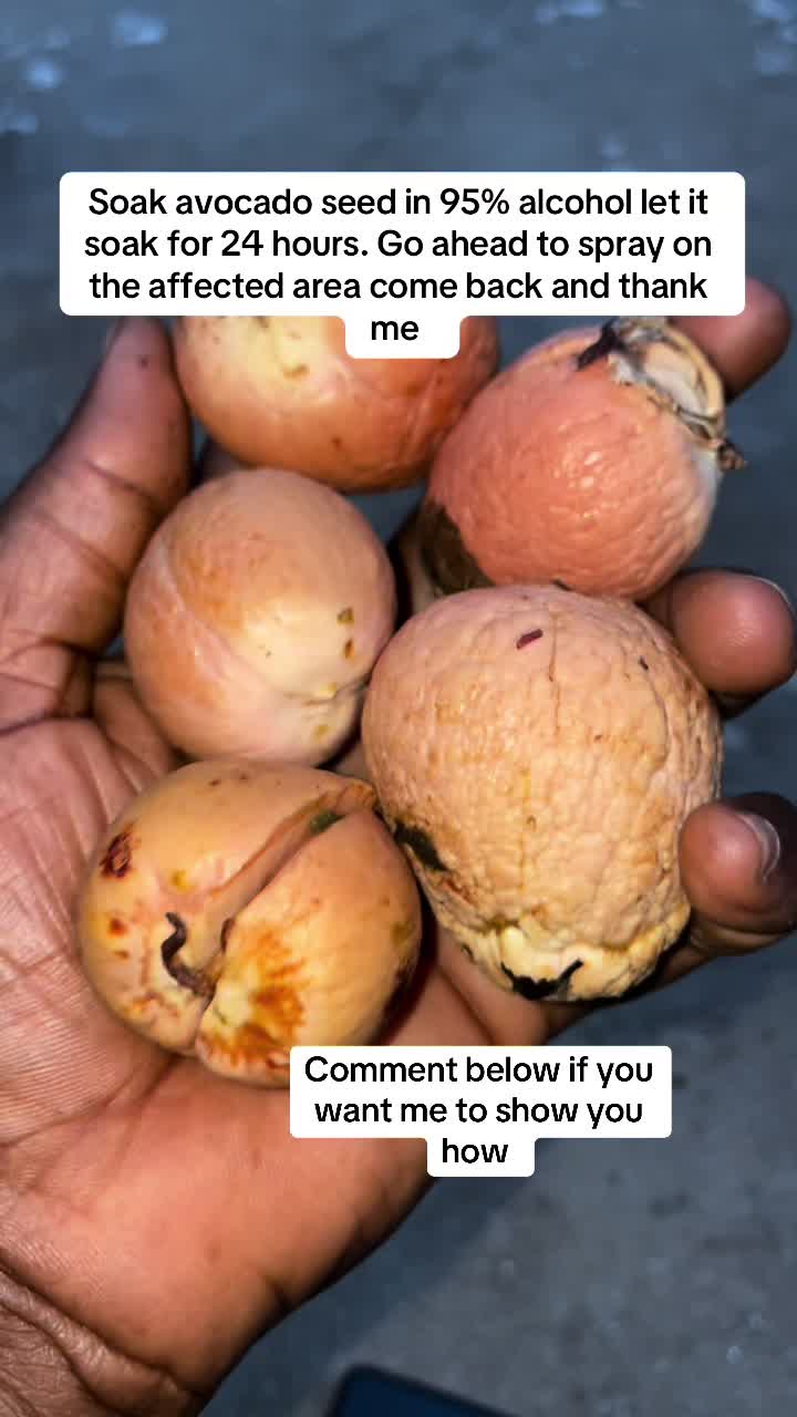 @Susan botanical and herbs