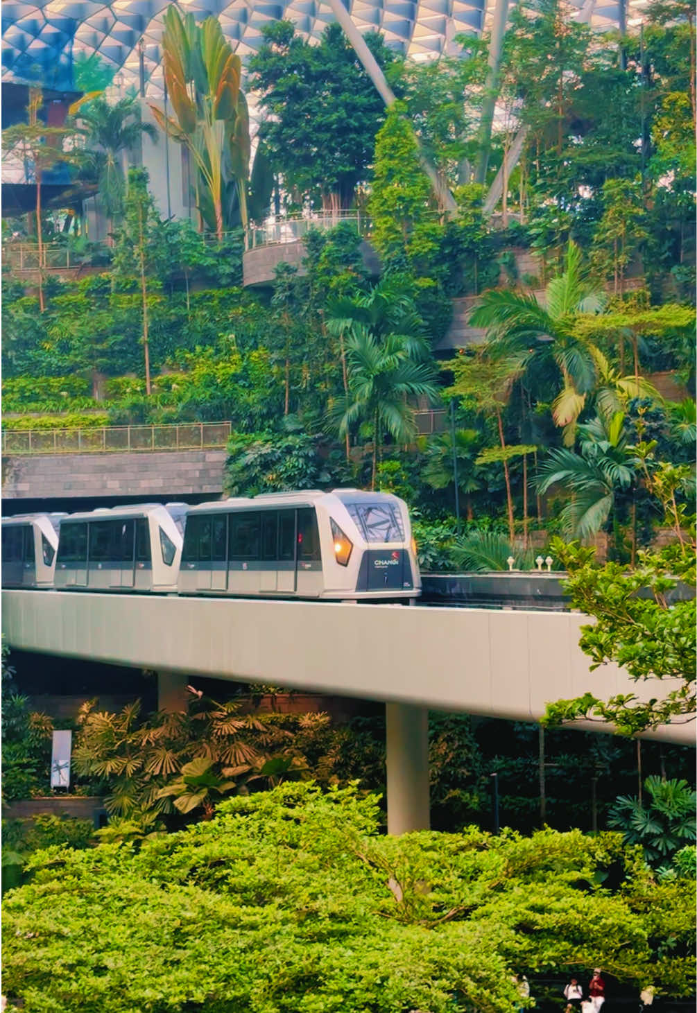 @𝐀 𝐍 𝐔 🇨🇳 🥷