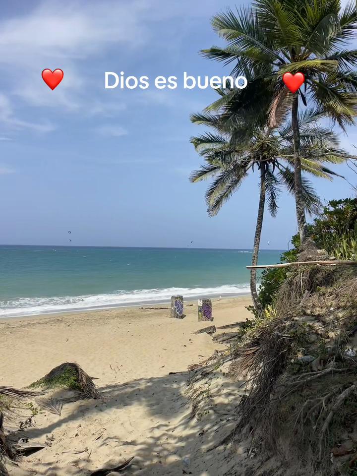 @✨La mami castro 1✨
