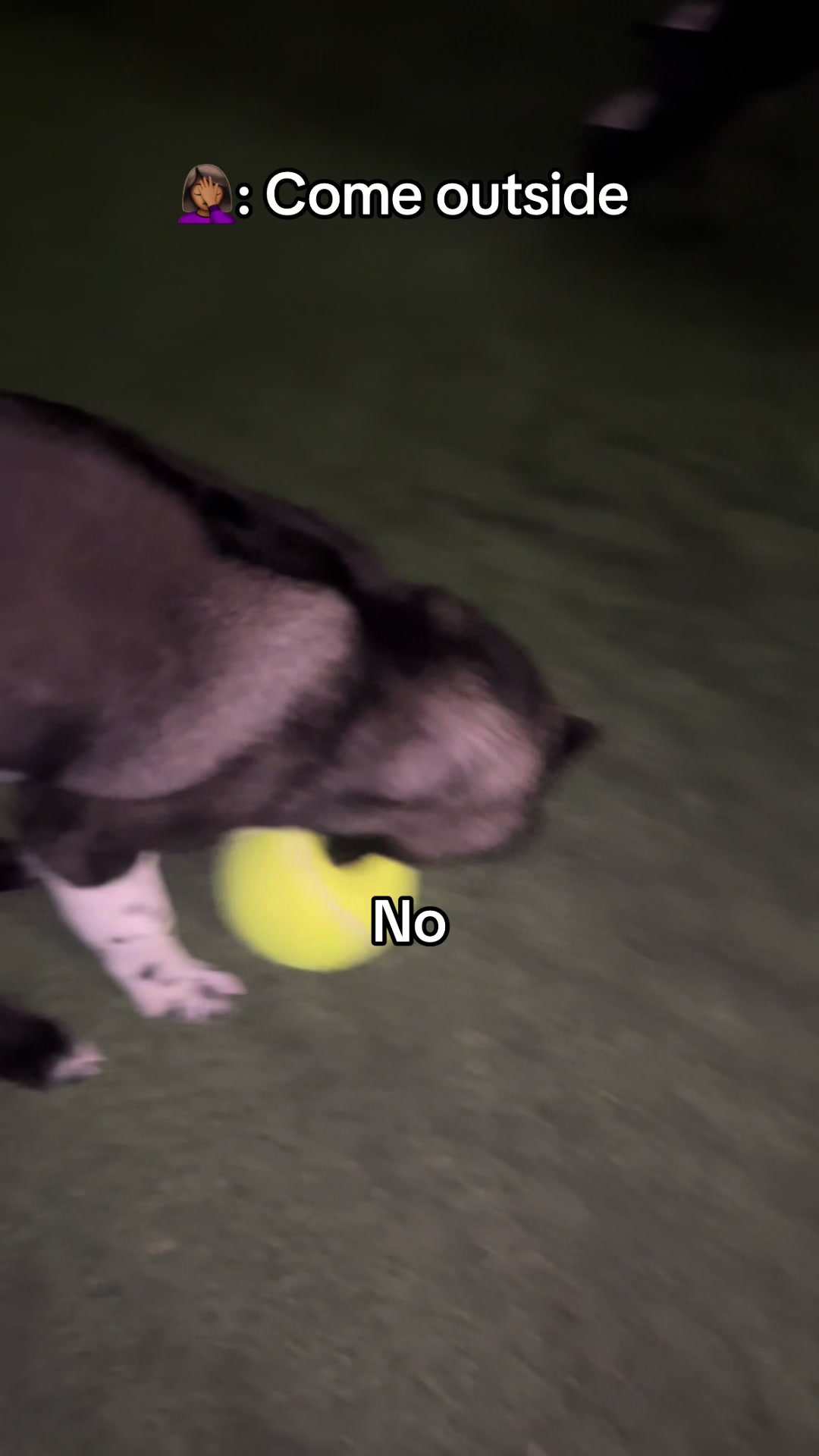 @tailsssss_