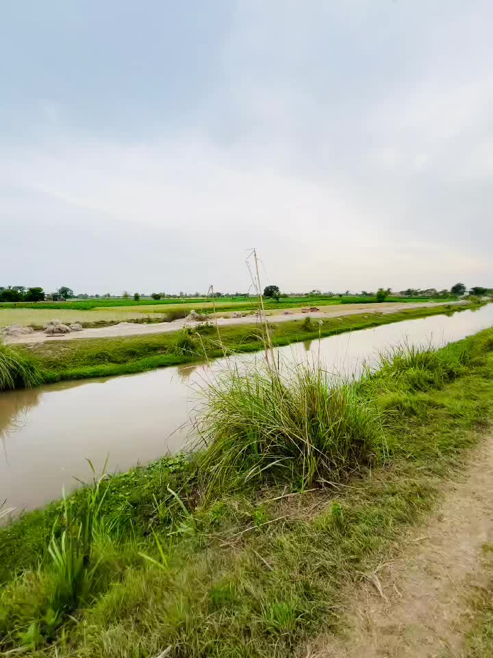 @Rana Muneeb Ullah