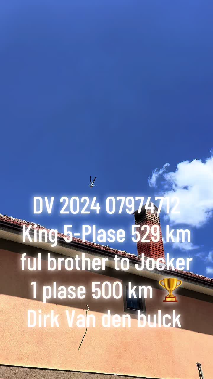 @trajkoohrid