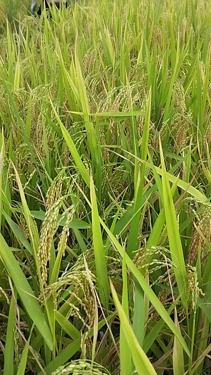 @XuânMai🫶