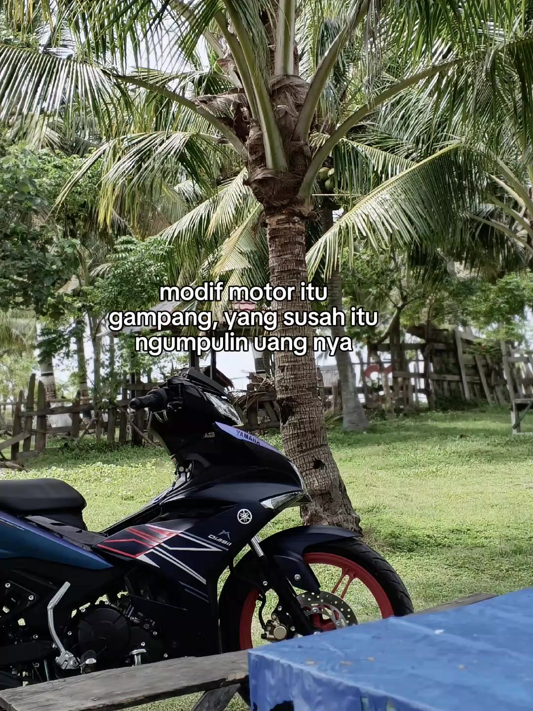 @Mx bocil🚀