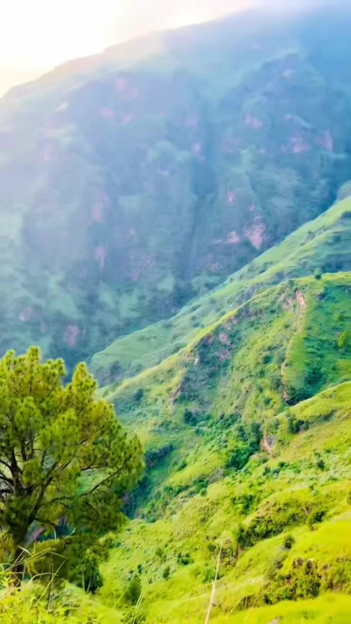 @🥰 BukhtSaeed khan احن حیل