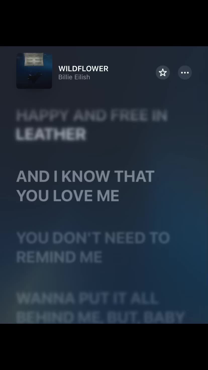 @lyricofmusic_