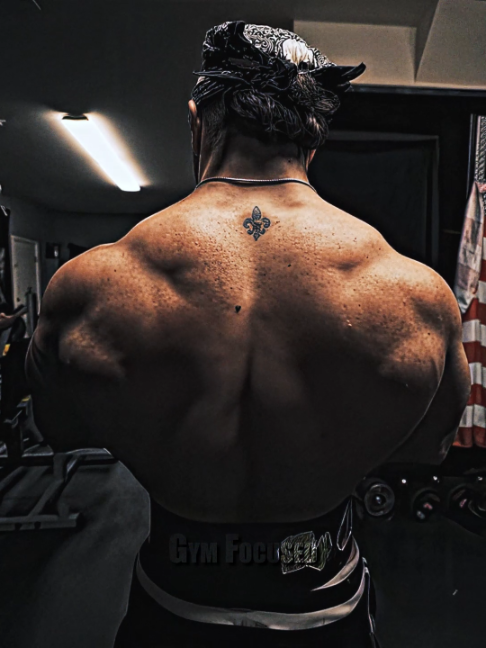 @Gym Focused