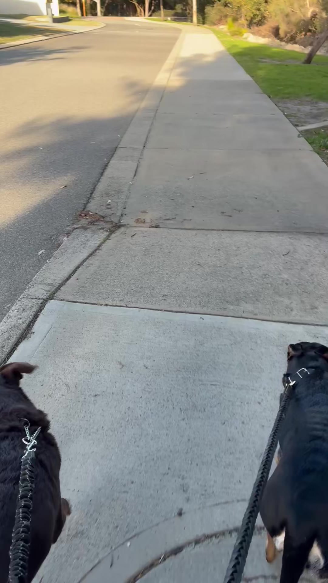 @emmalouisef367