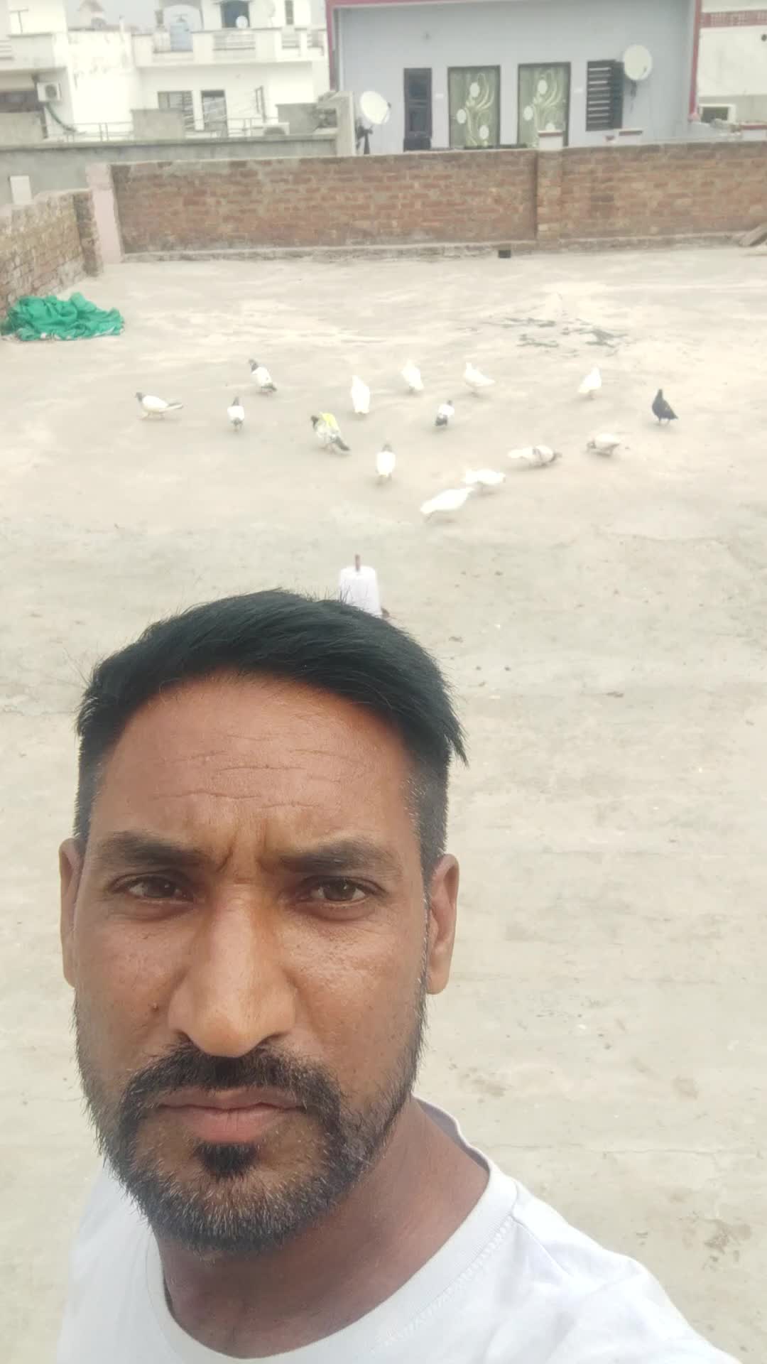 @Sahi italy
