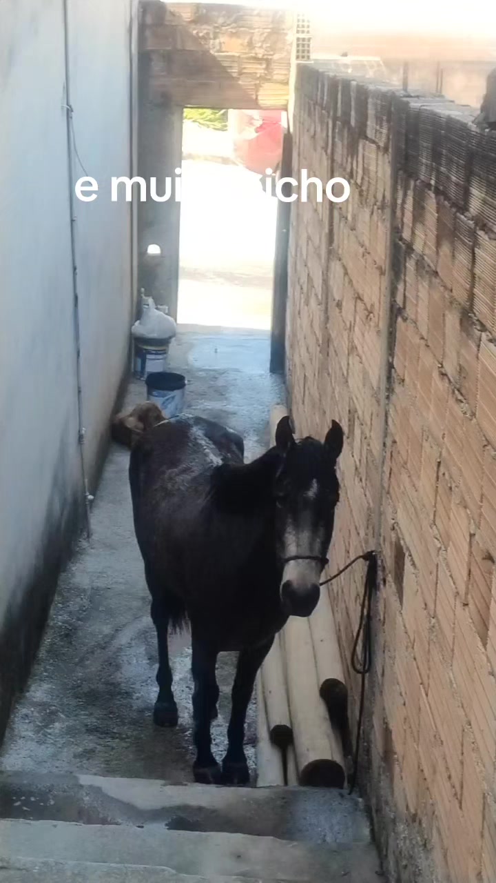 @KRN__