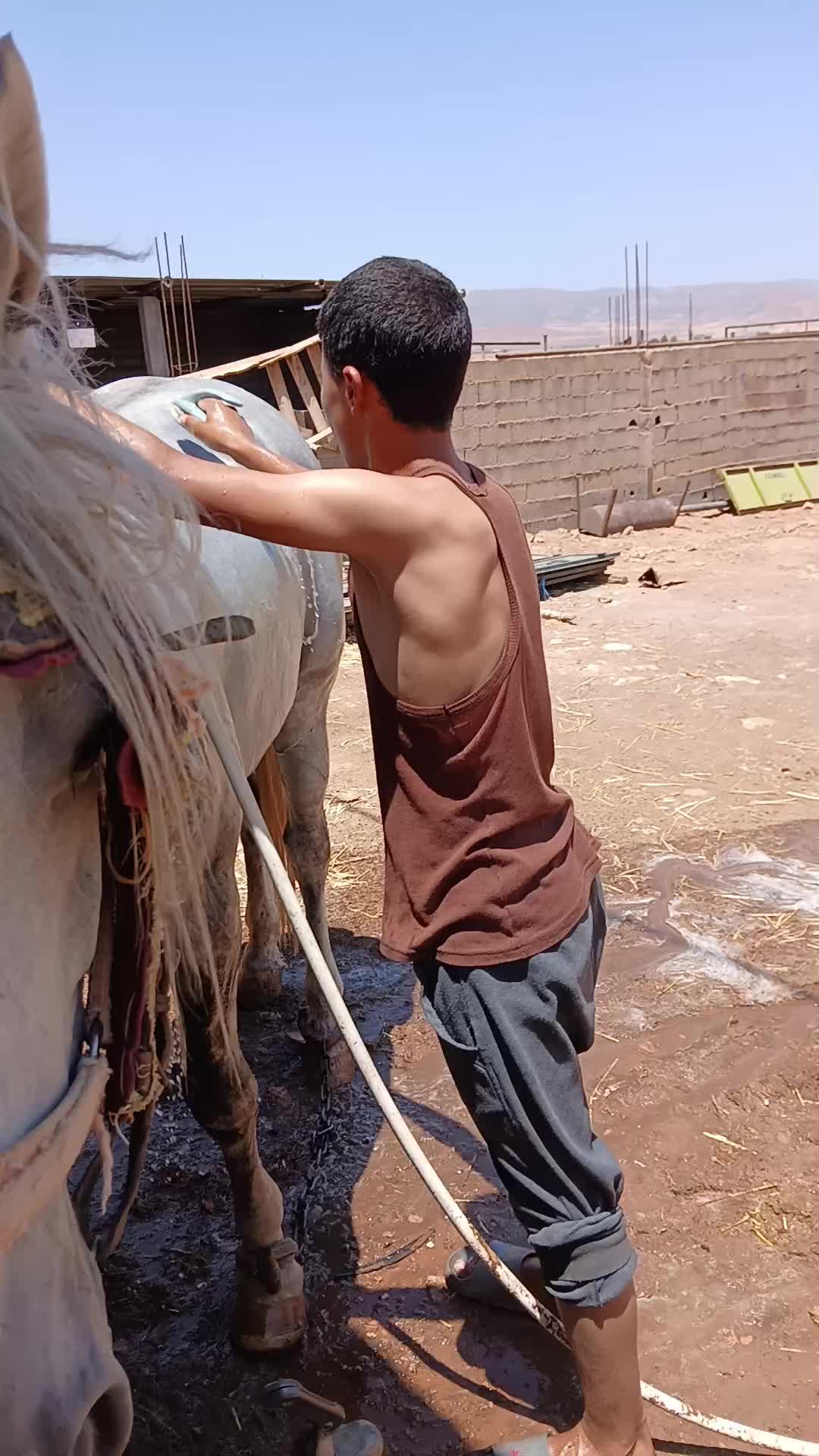 @Amar 13
