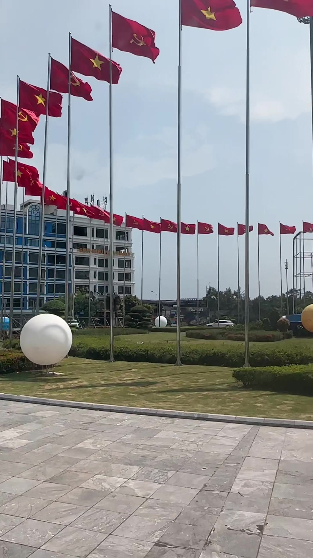 @Hoa s&uacute;n ( nh&iacute; nhố)