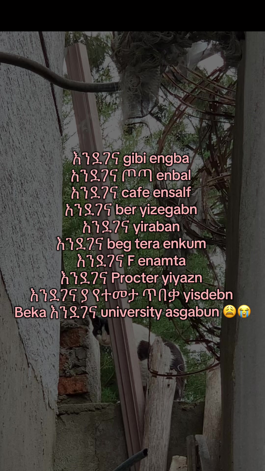 @የአብ-ስራ🌸