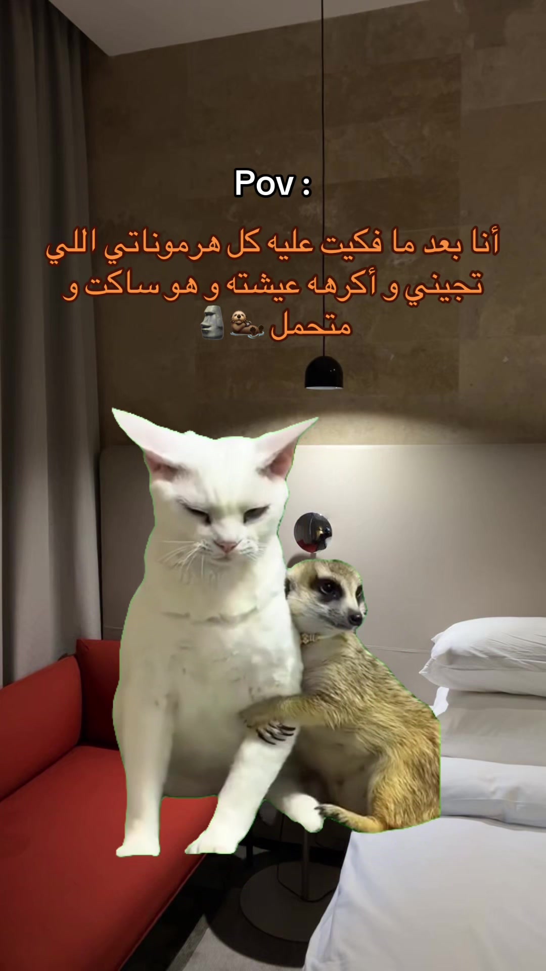 @๐R eps Mohamed๐