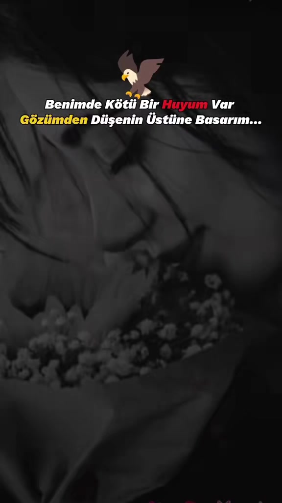 @❀፝֟͜͡🌹B̷E̷R̷F̷İ̷N̷21❀፝֟͜͡🌹