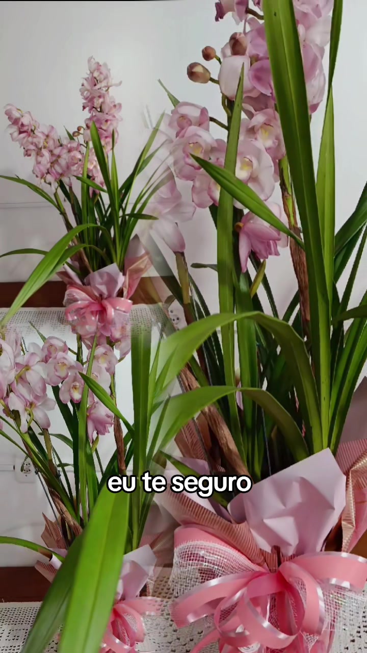 @Camila Pimentel