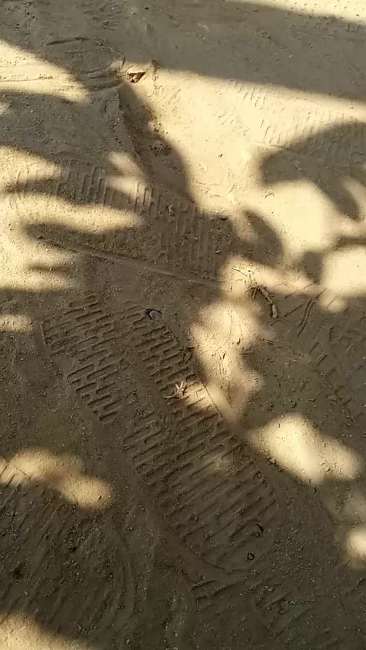 @★★★★★