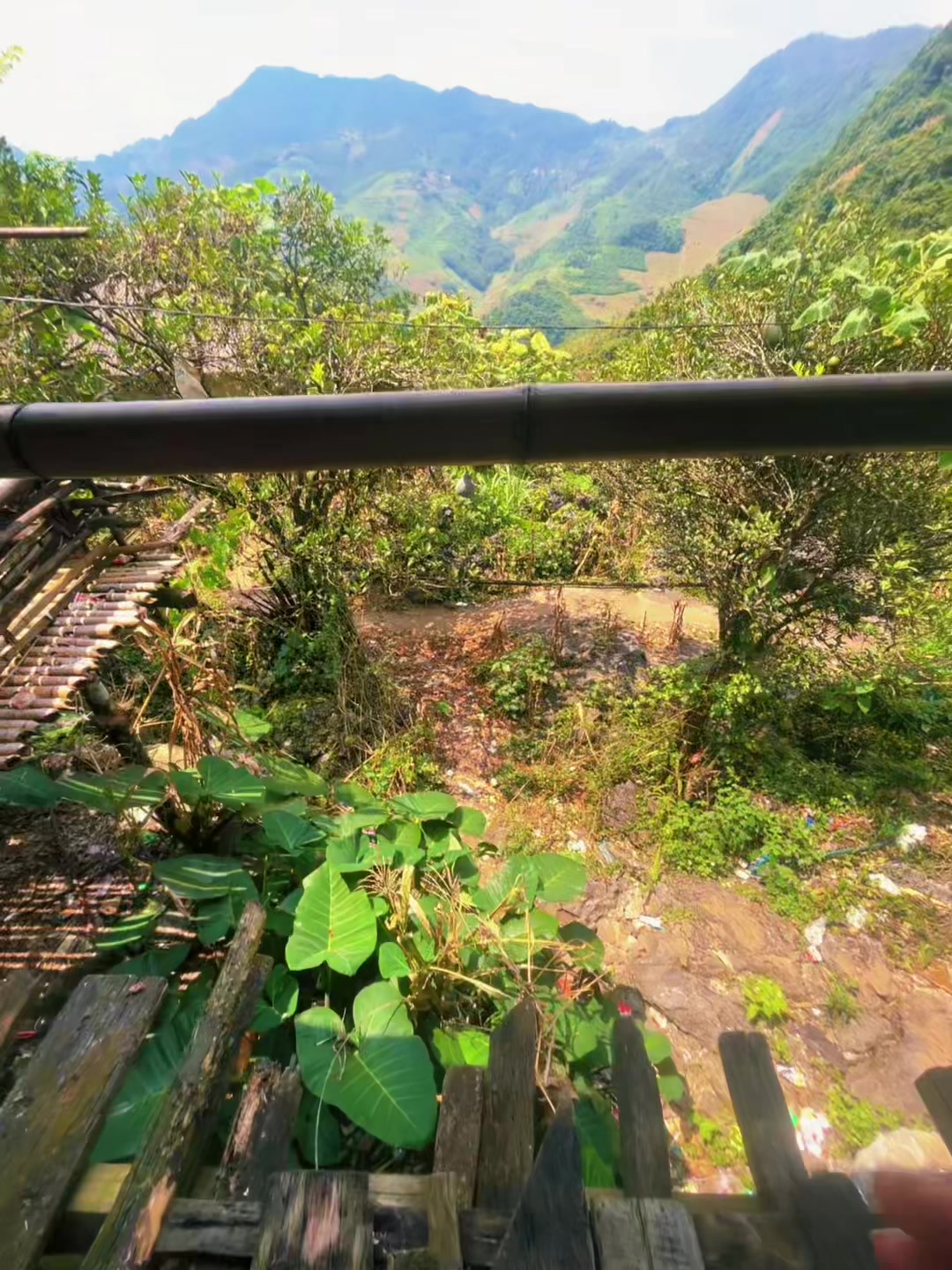 @LÍU 🇻🇳☣️