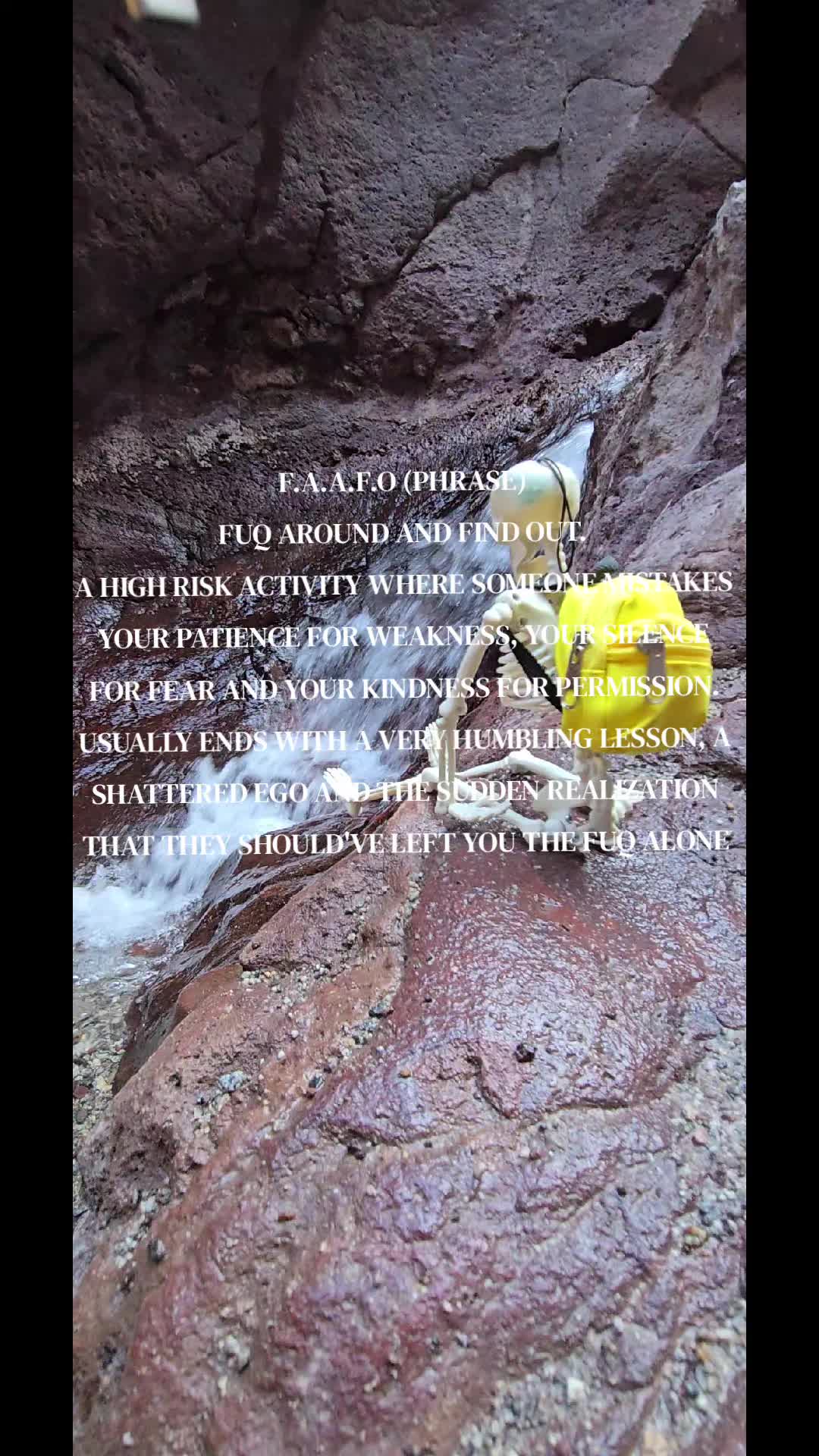 @HauntedRaccoon13👻🦝
