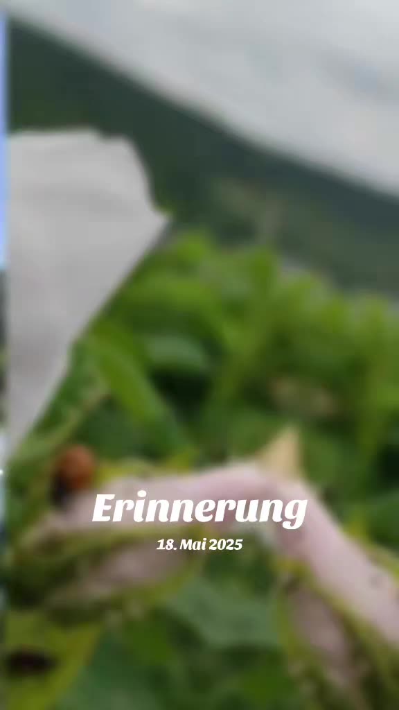 @ᛞᛁᚨᚾᚨ 2.0