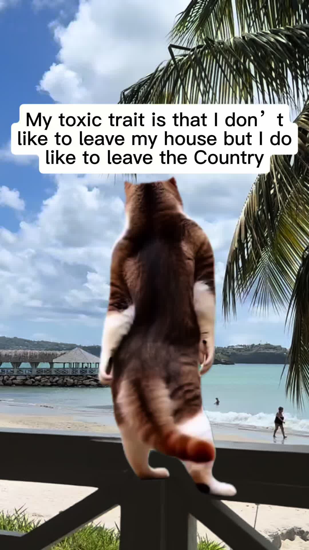 @NhuPlz