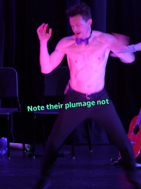 @The Comic Strippers