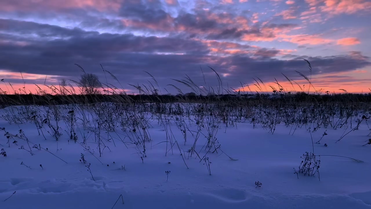 @эффект счастливого будущего