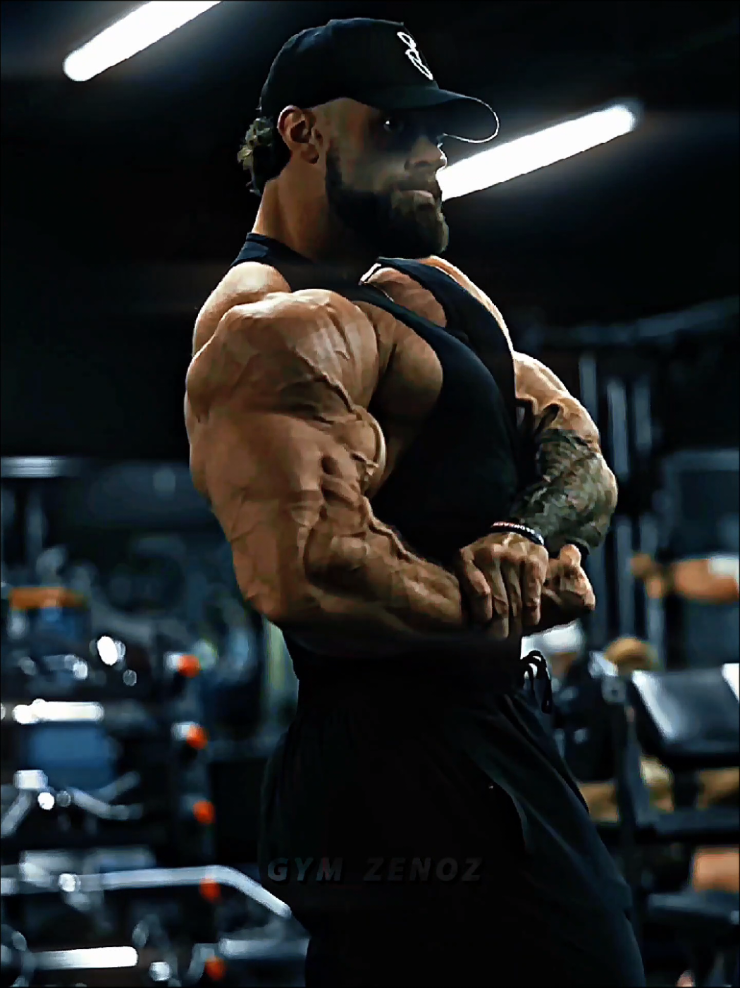 @Gym Zenoz