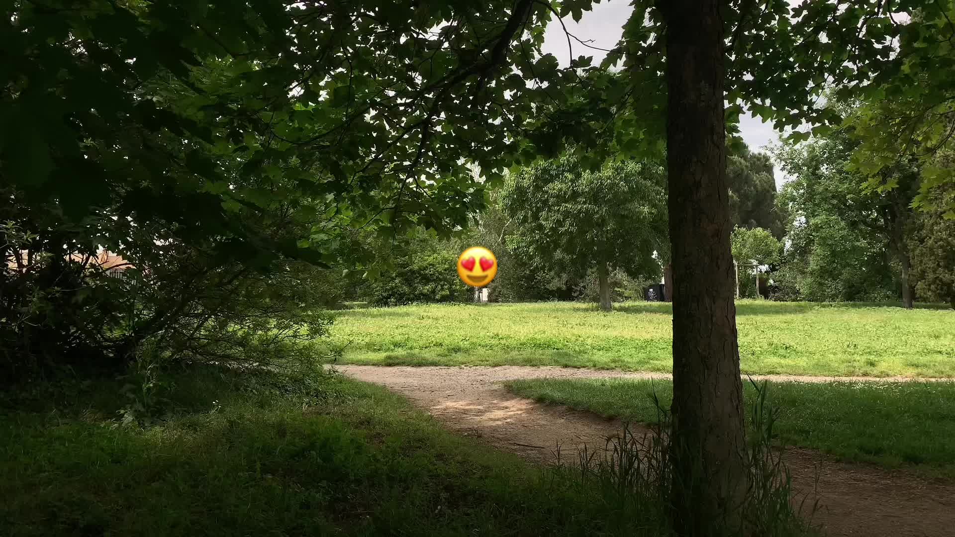 @Spideer.exee