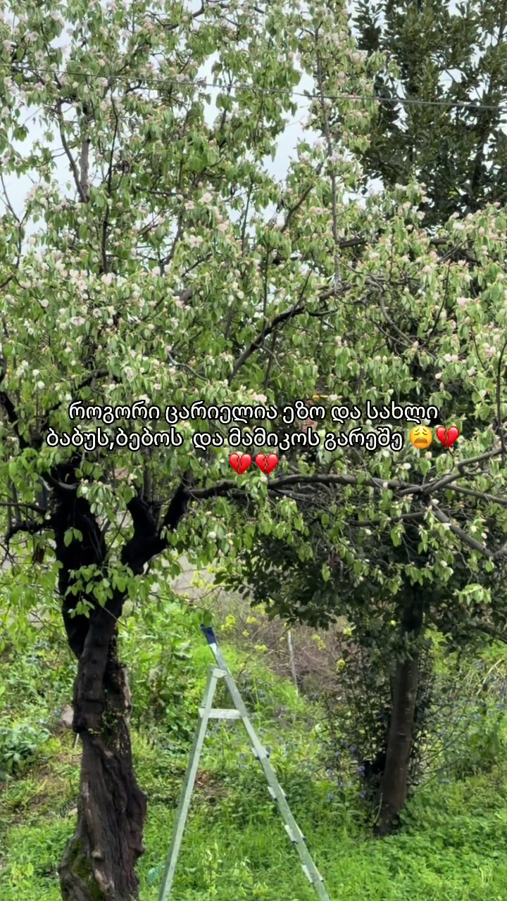 @Lika Aslanishvili