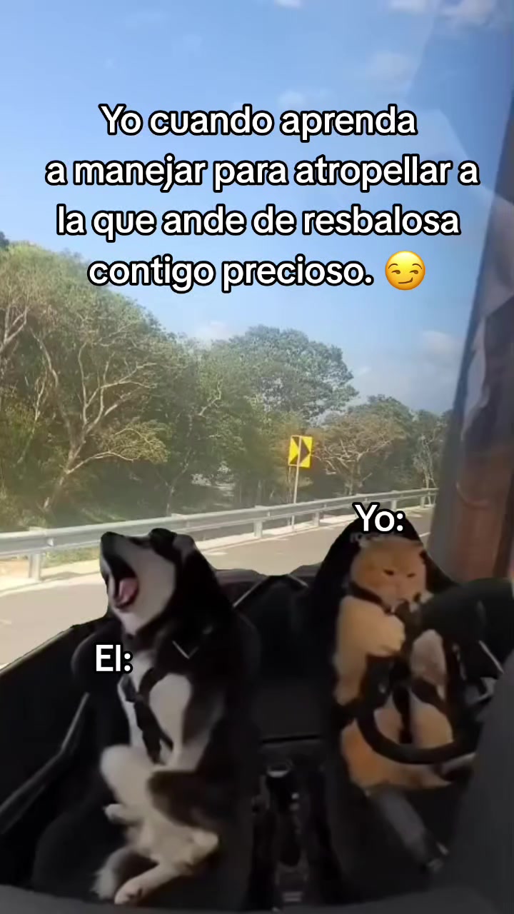 @💖 Linda Miranda 💖