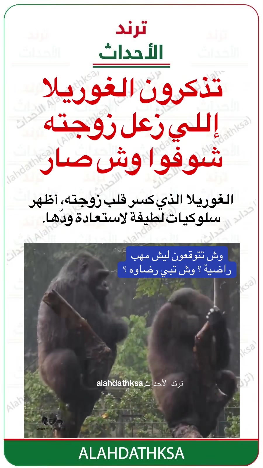 @ترند الأحداث