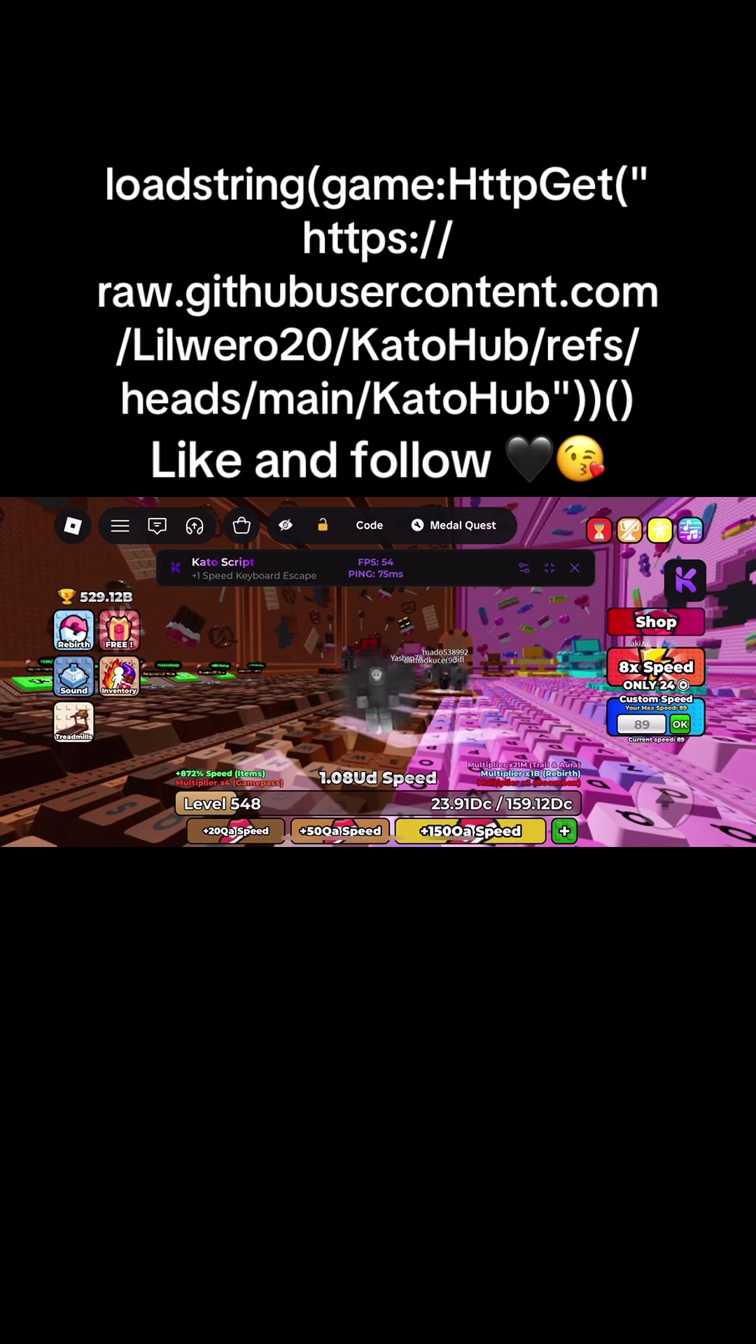 @shexki47