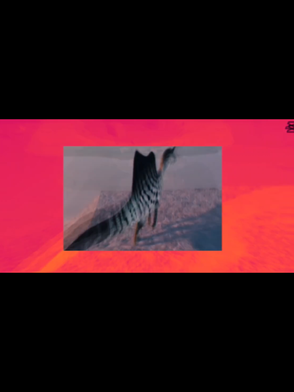 @S҉P҉I҉D҉O҉3҉O҉R҉