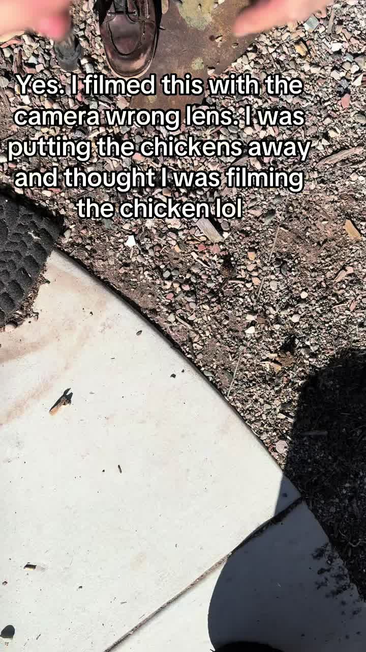 @The InspoBro