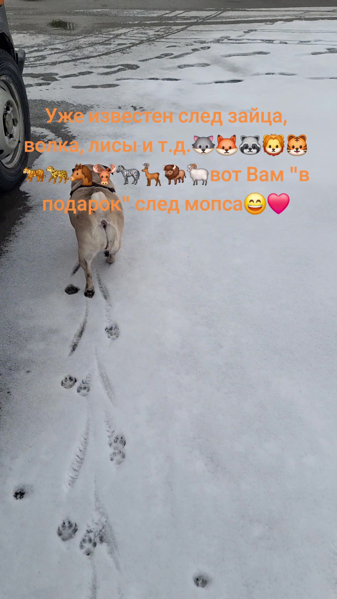 @Zhanna