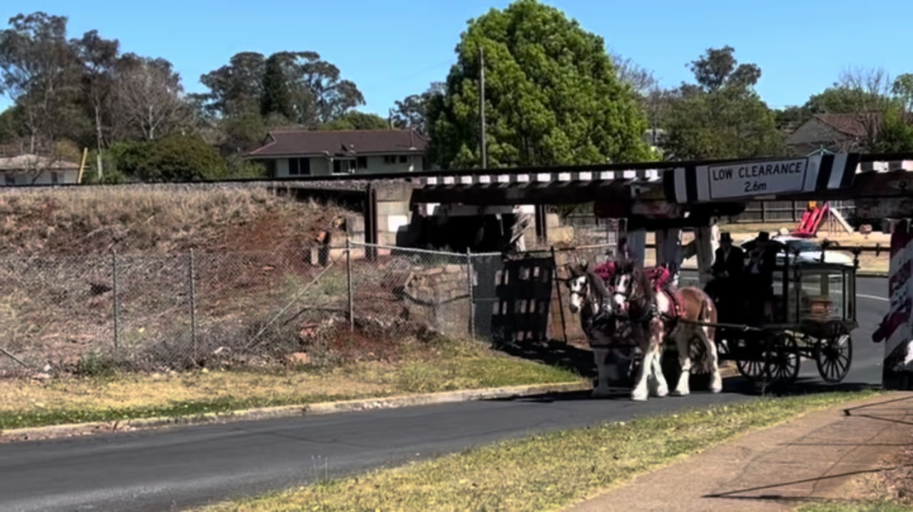 @Duneske Clydesdales