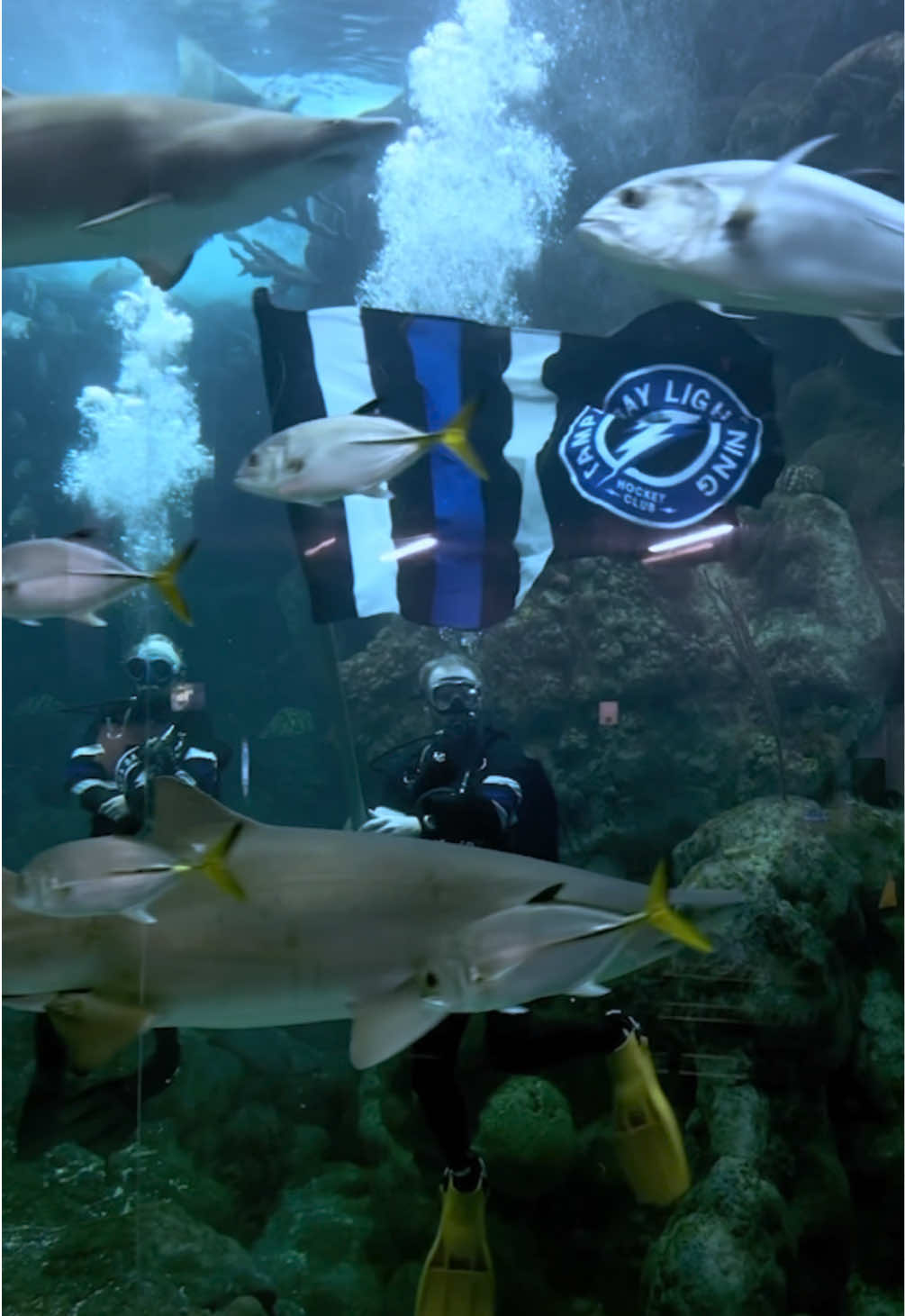 @The Florida Aquarium