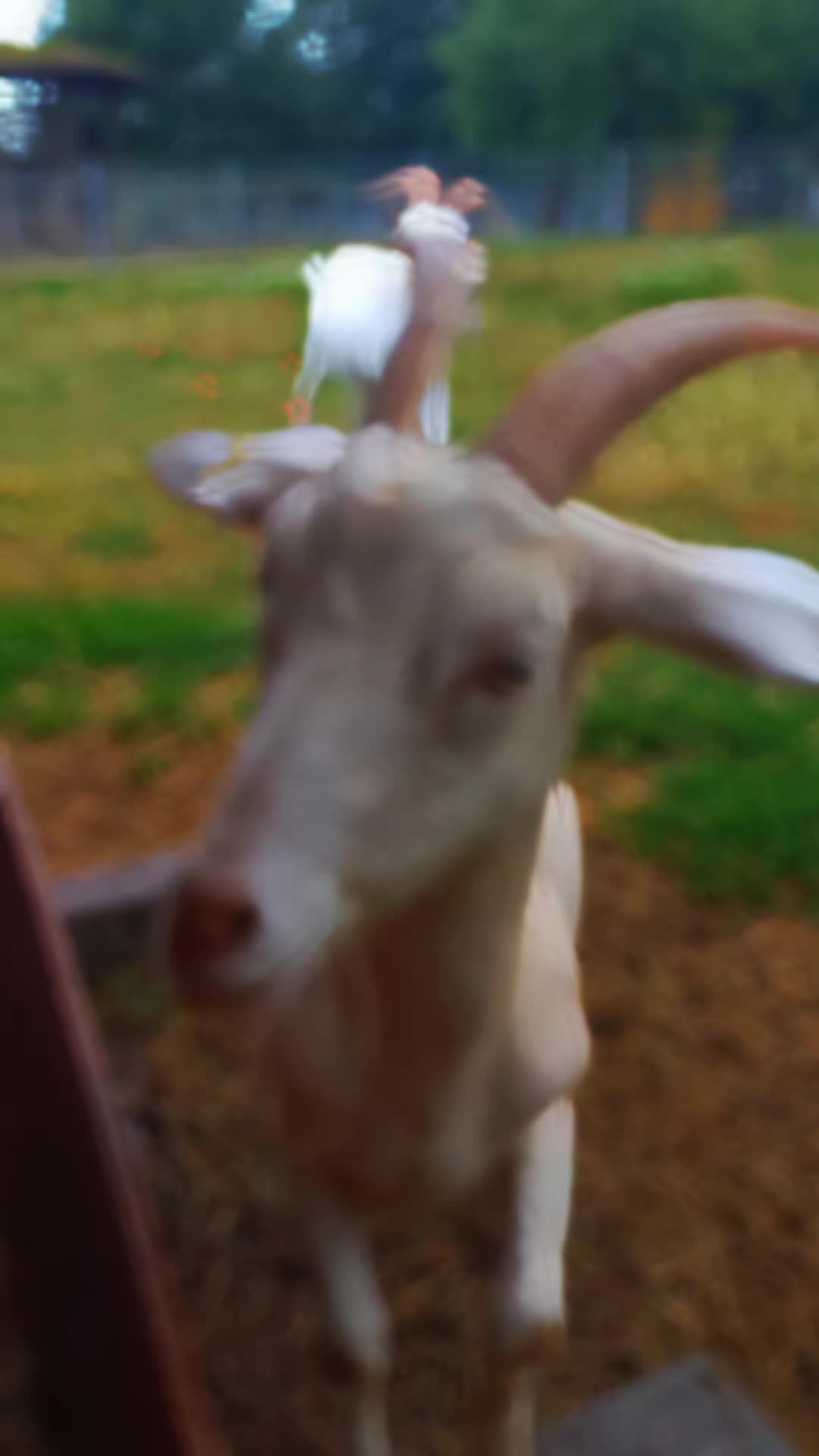 @🦚🆃𝓲𝓮𝓻🅿𝓪𝓻𝓴🆃𝓸𝓴🦚