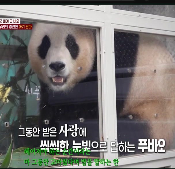 @K-PANDA kim