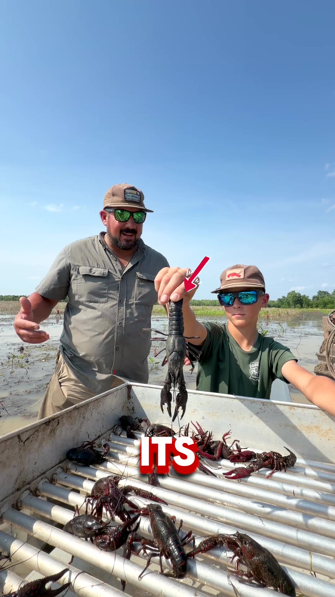 @louisianacrawfishco