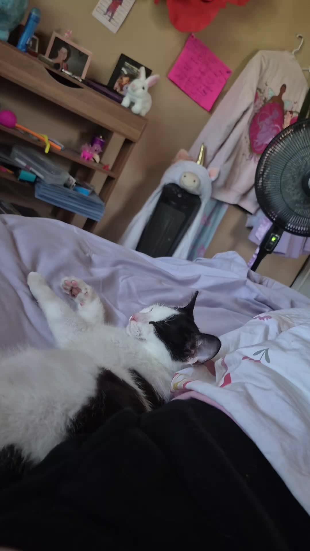 @๐~๐ผ๐จ๐๐!~๐
