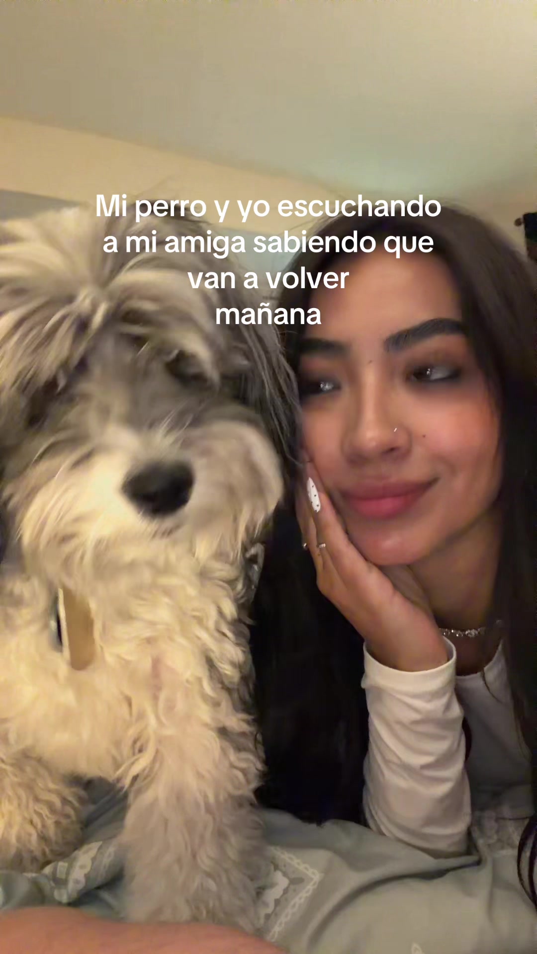 @Cataluxgm
