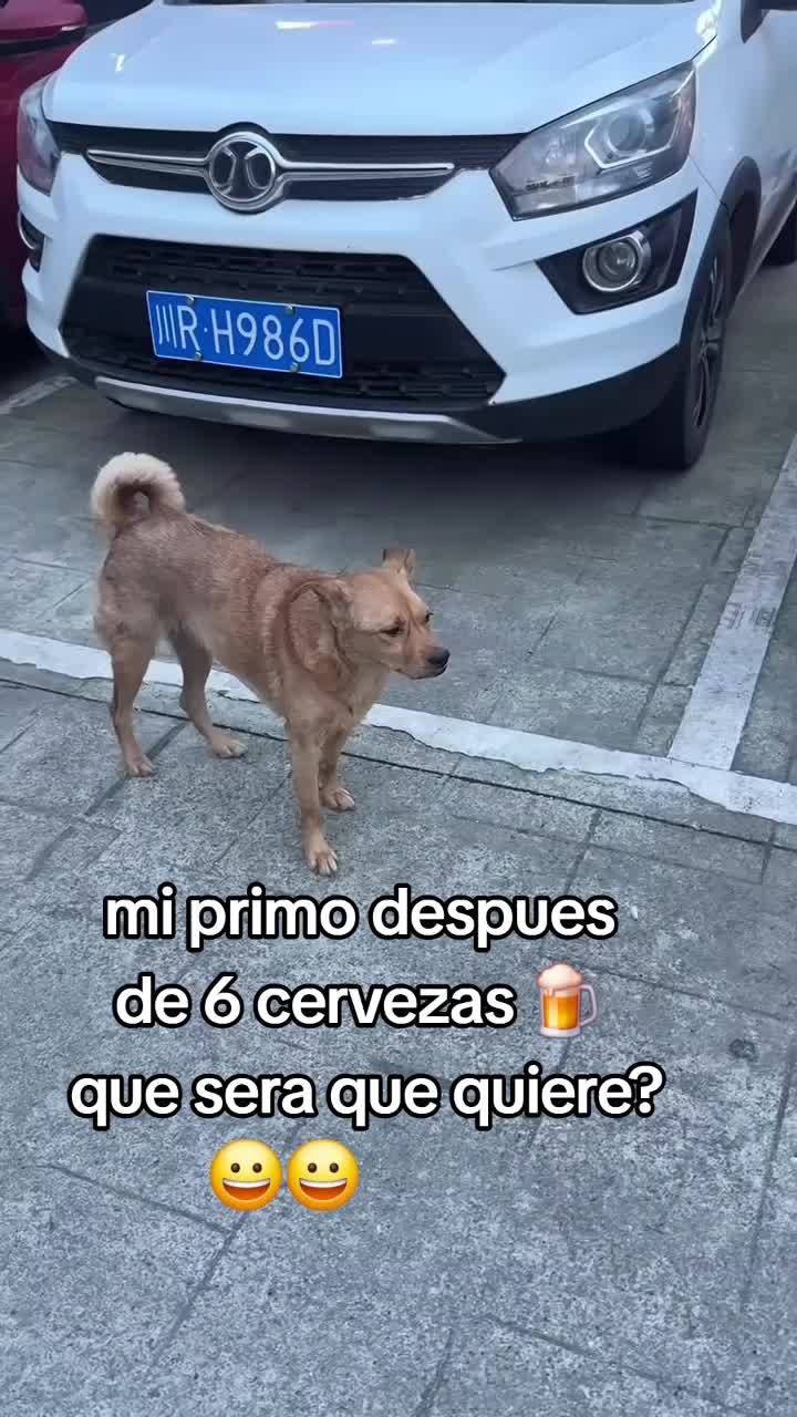 @๐๐ช Díaz ๐ญ๐ณโฝ