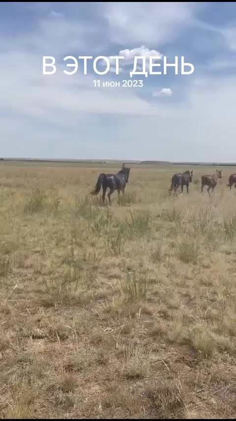 @Нурсултан Сембаев
