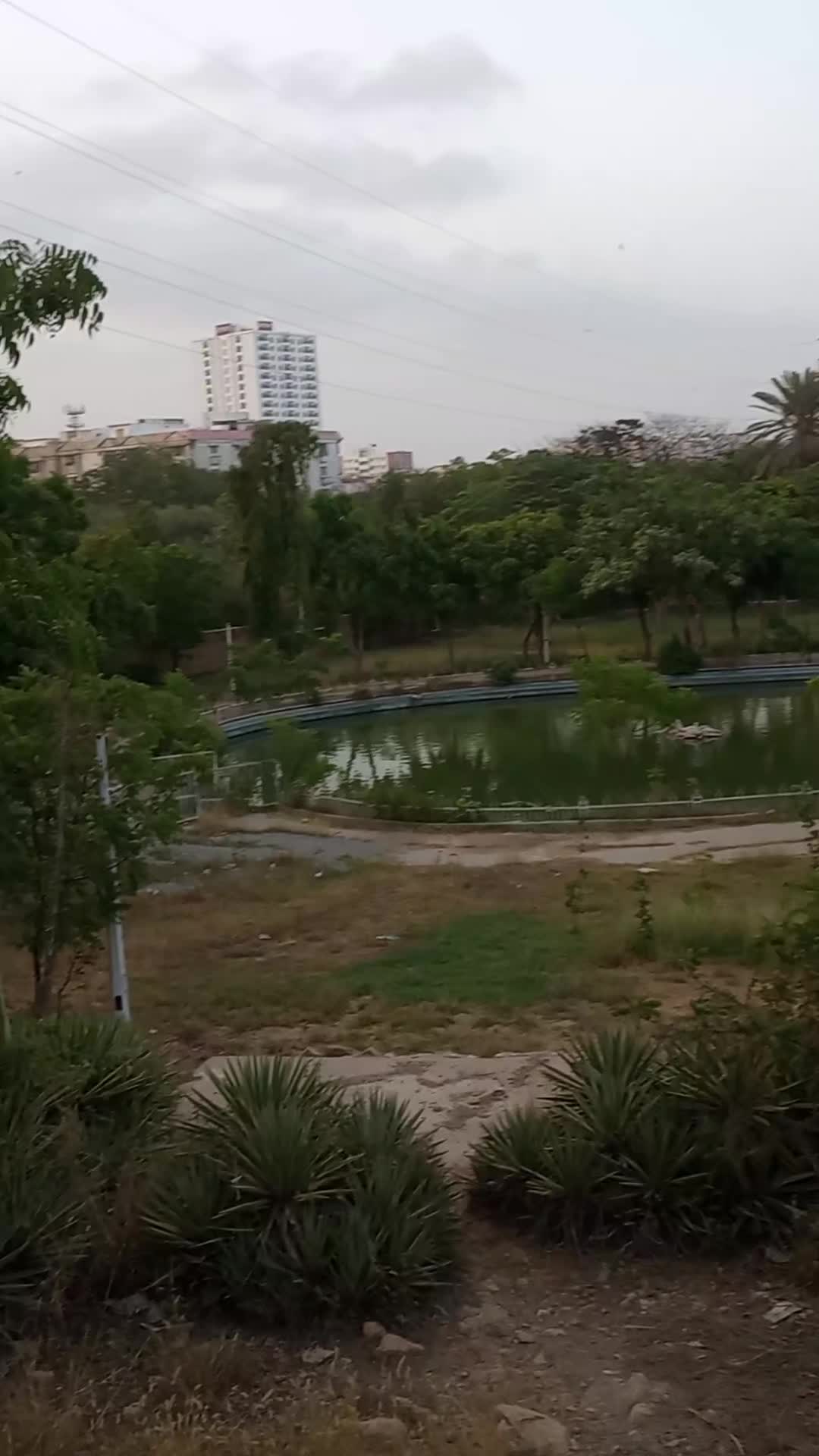 @Haya