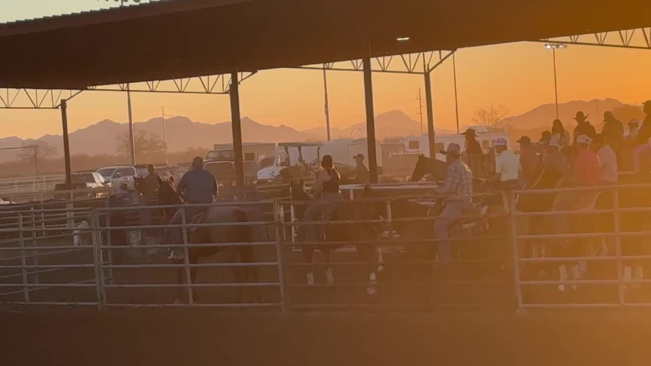 @Cord Forzano Rope Horses